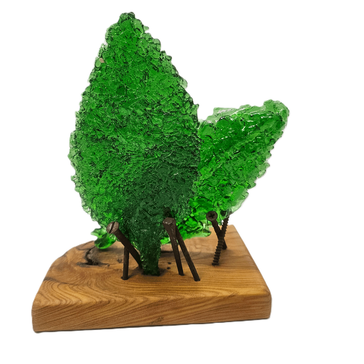 Rear perspective of a fused glass translucent green leaf sculpture with two forms, mounted on an oiled Australian Bush timber wooden base, and supported with aged metal screw and nails. Scuplture is photographed against a plain white background.