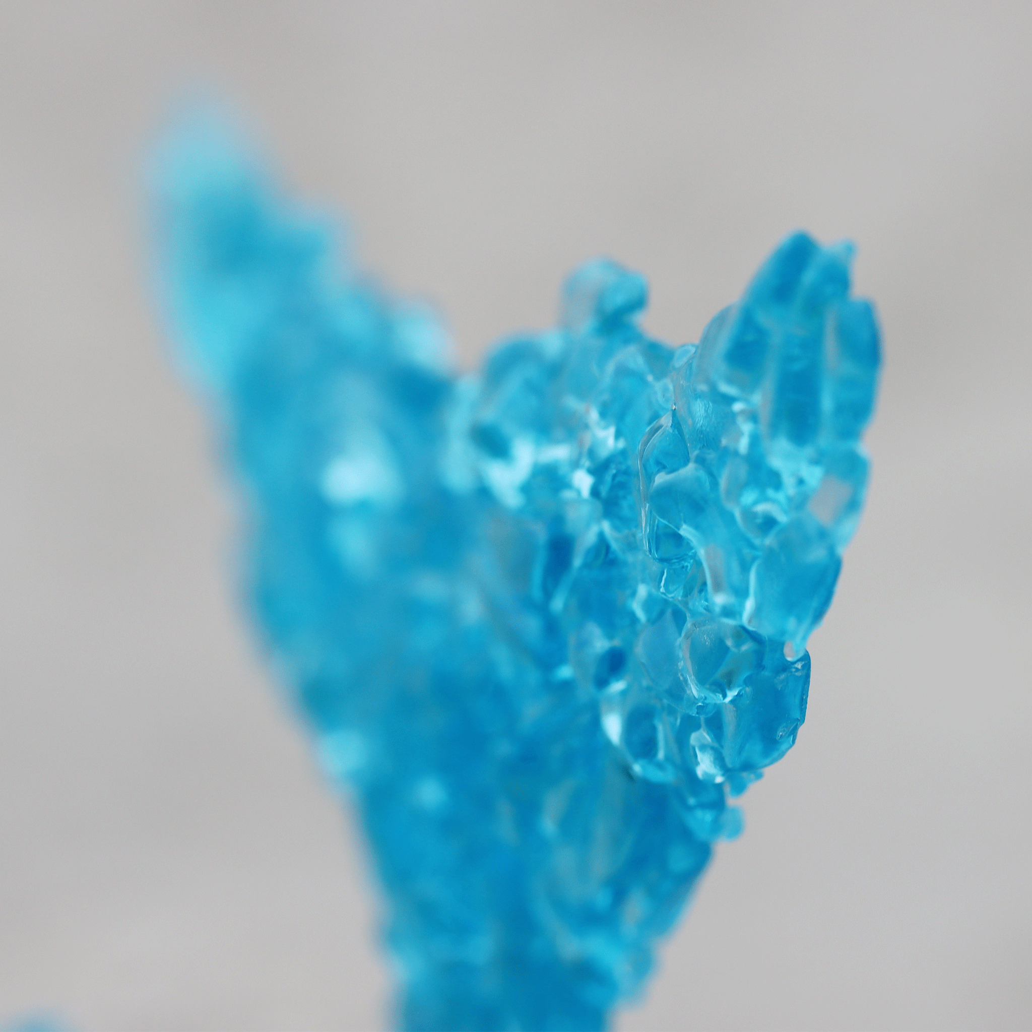 A close-up of a bright blue translucent, crystalline glass fragmented portion of whale tail fluke against a soft, out-of-focus light coloured background.