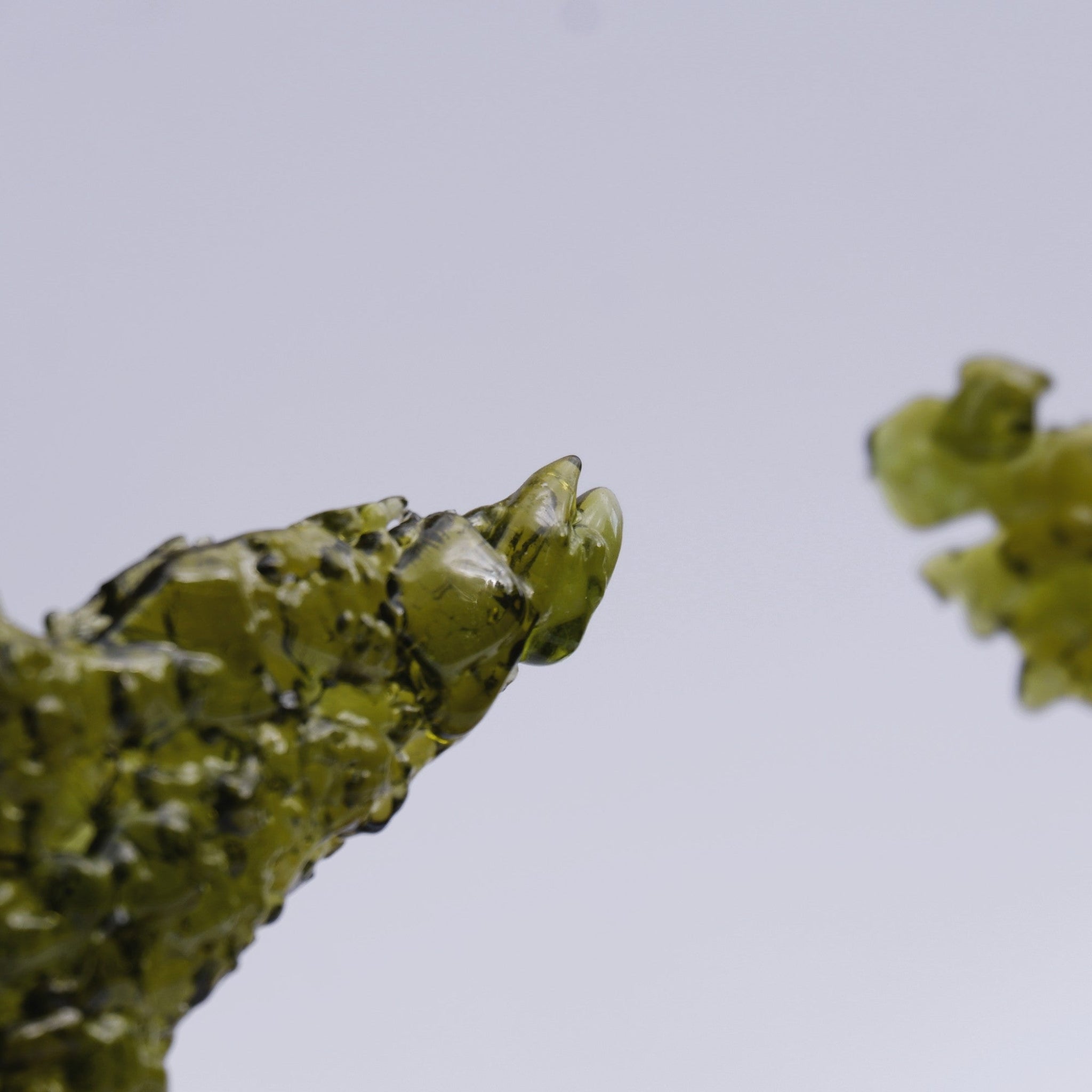 A close-up of a translucent kelp-olive-green whale fluke, with a textured, fragmented glass surface, photographed against a plain light gray background.