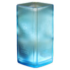 A translucent pale blue square glass vase with frosted texture and botanical illustrations, shown on a plain white background.